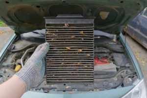 AutoMechanicInGlovesHoldsAnOldDirtyCloggedCar - Meineke Chattanooga Meineke Car Care | Cabin Air Filter | Chattanooga TN
